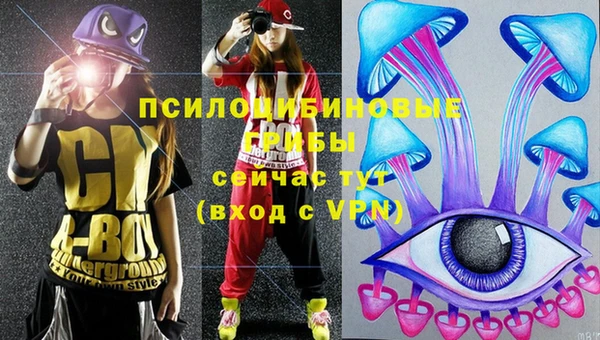 а пвп мука Михайлов