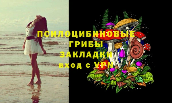 дурь Мегион