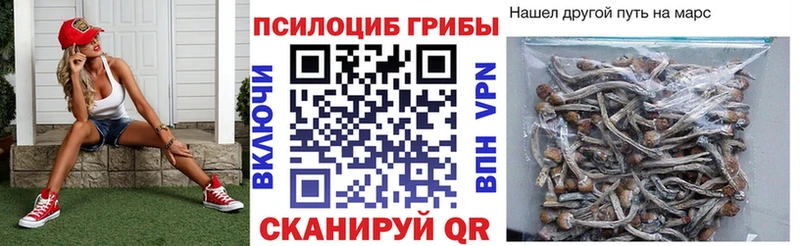 Псилоцибиновые грибы Cubensis  Купить  Мичуринск 