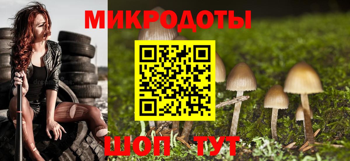Галлюциногенные грибы мухоморы Мичуринск