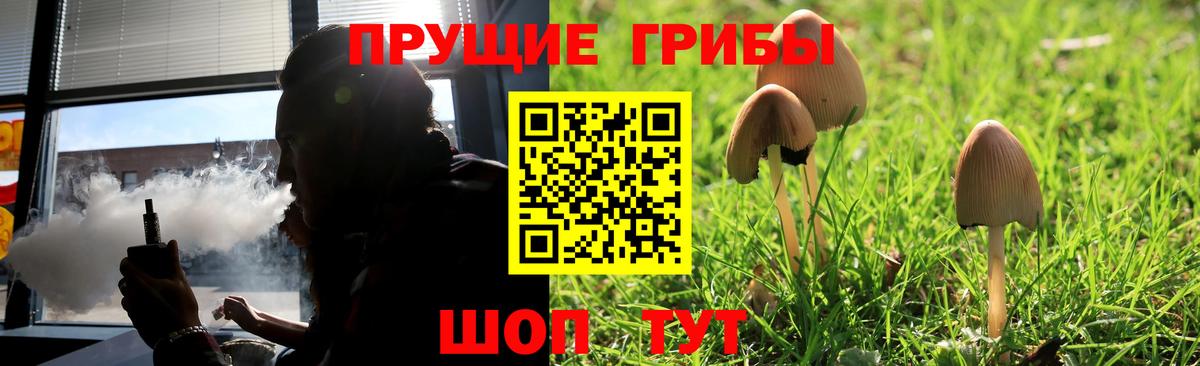 Мичуринск  Галлюциногенные грибы мицелий  Вход с VPN  Псилоцибиновые грибы GOLDEN TEACHER 