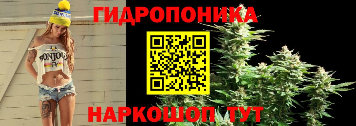 Бошки марихуана White Widow Мичуринск